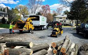 Best Firewood Processing and Delivery  in Oberlin, LA