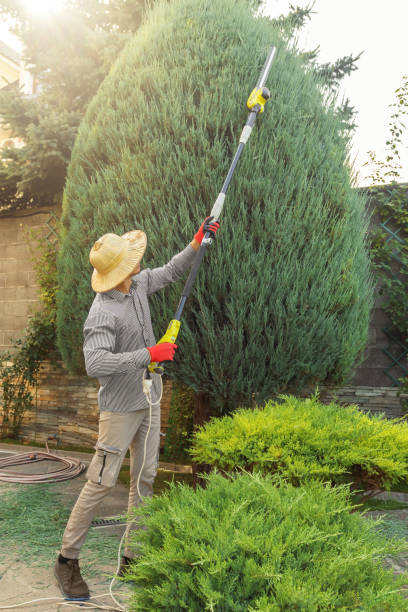 Best Tree Mulching Services  in Oberlin, LA